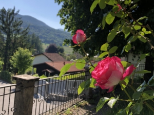 villa il maiale bianco roos ontbijttuin