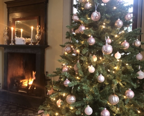 Ontbijtkamer Kerstboom 2020